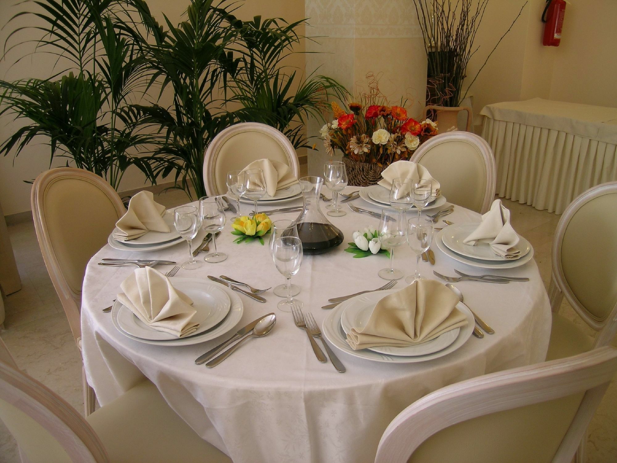 Hotel Alexander Palme 끼안챠노테르메 외부 사진